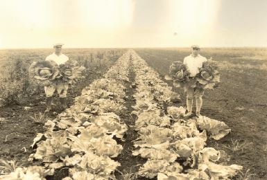 farmers in the 1900s and in the west settlers