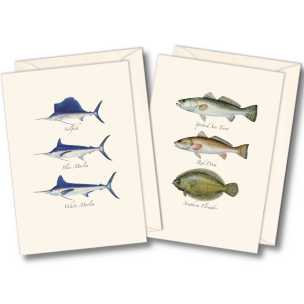 Saltwater Fish - Assorted Notes