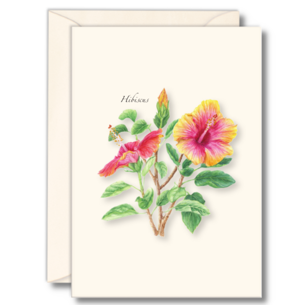 Hibiscus Boxed Notes