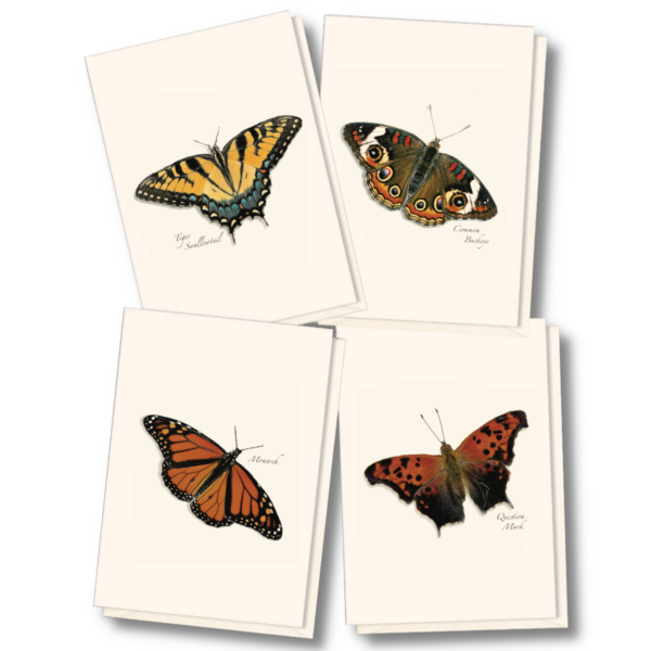 Butterfly Assortment Boxed Notes