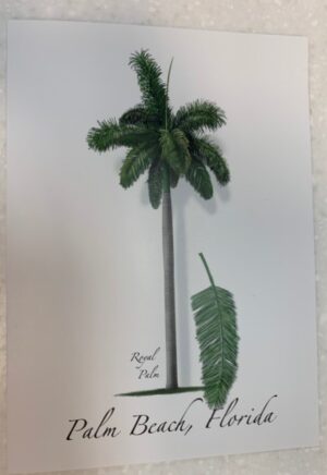 Notecard "Palm Beach" Royal Palm Tree